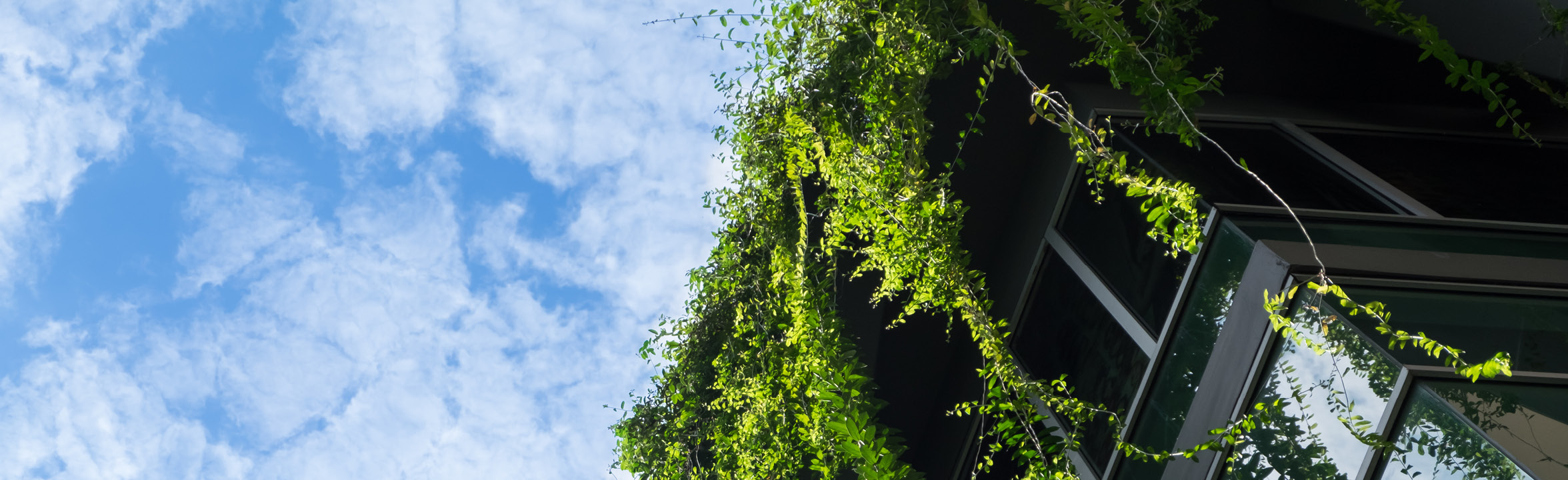Sustainability