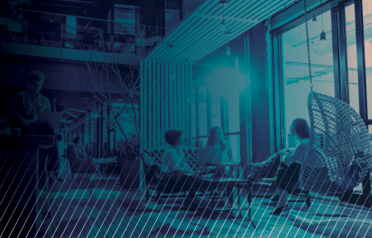 people sitting in open office area by large window in blue duotone