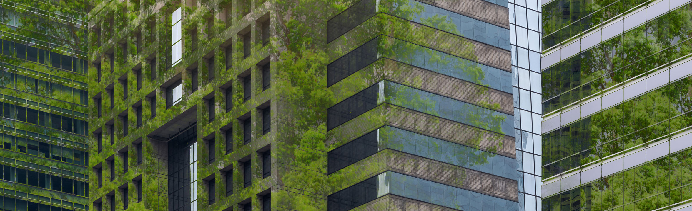 high rise glass building covered in greenery