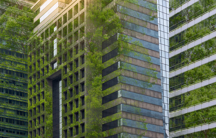 high rise glass building covered in greenery