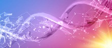 DNA of Real Estate Q2 2019