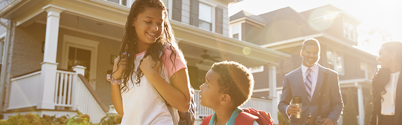 suburbanization banner (image)