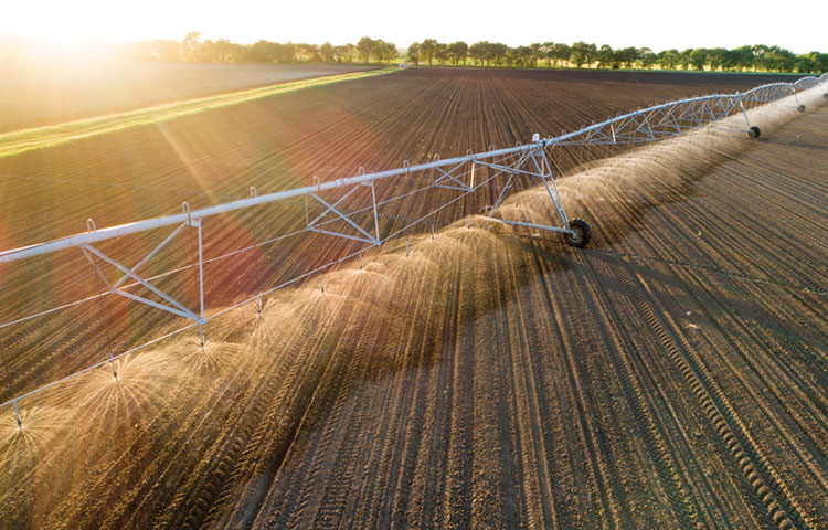 Valuation for Agribusiness, Natural Resources & Energy