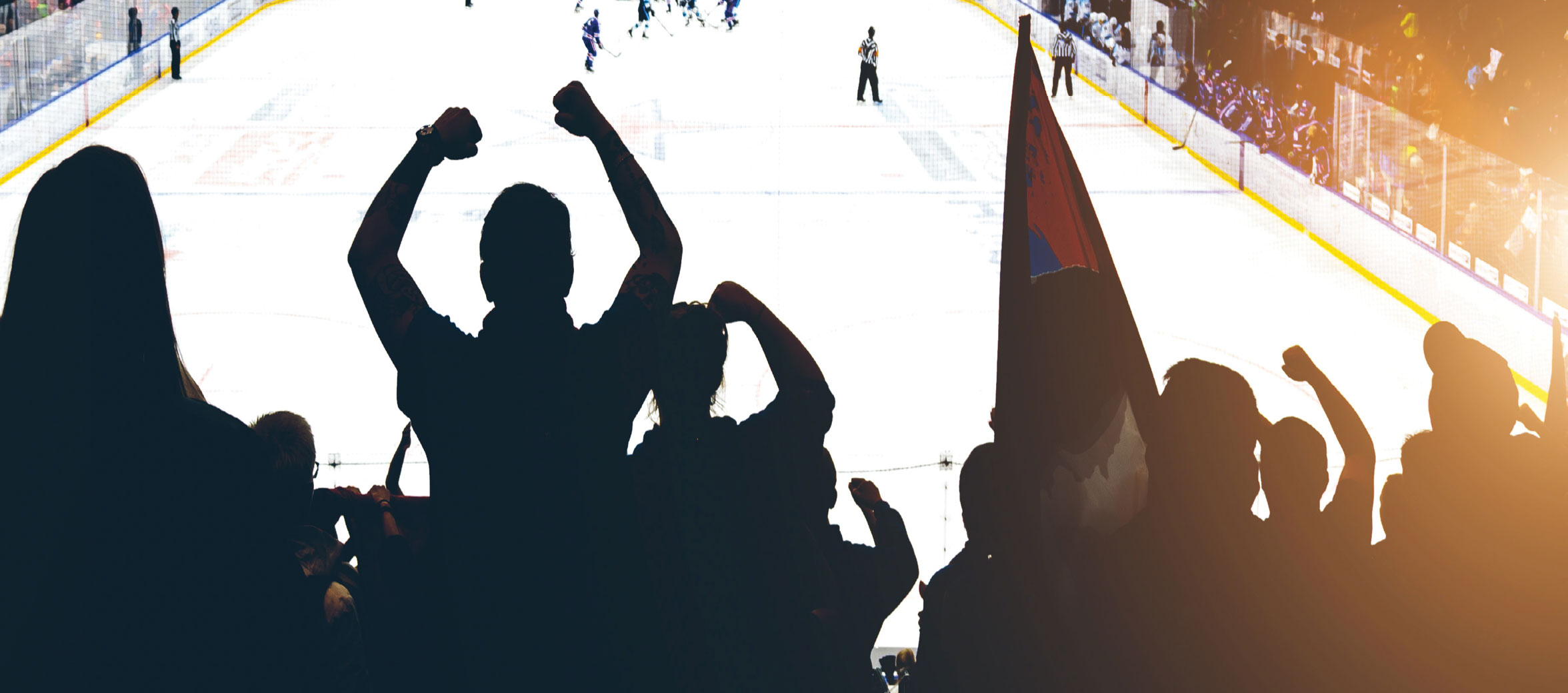 Valuation for Sports & Entertainment