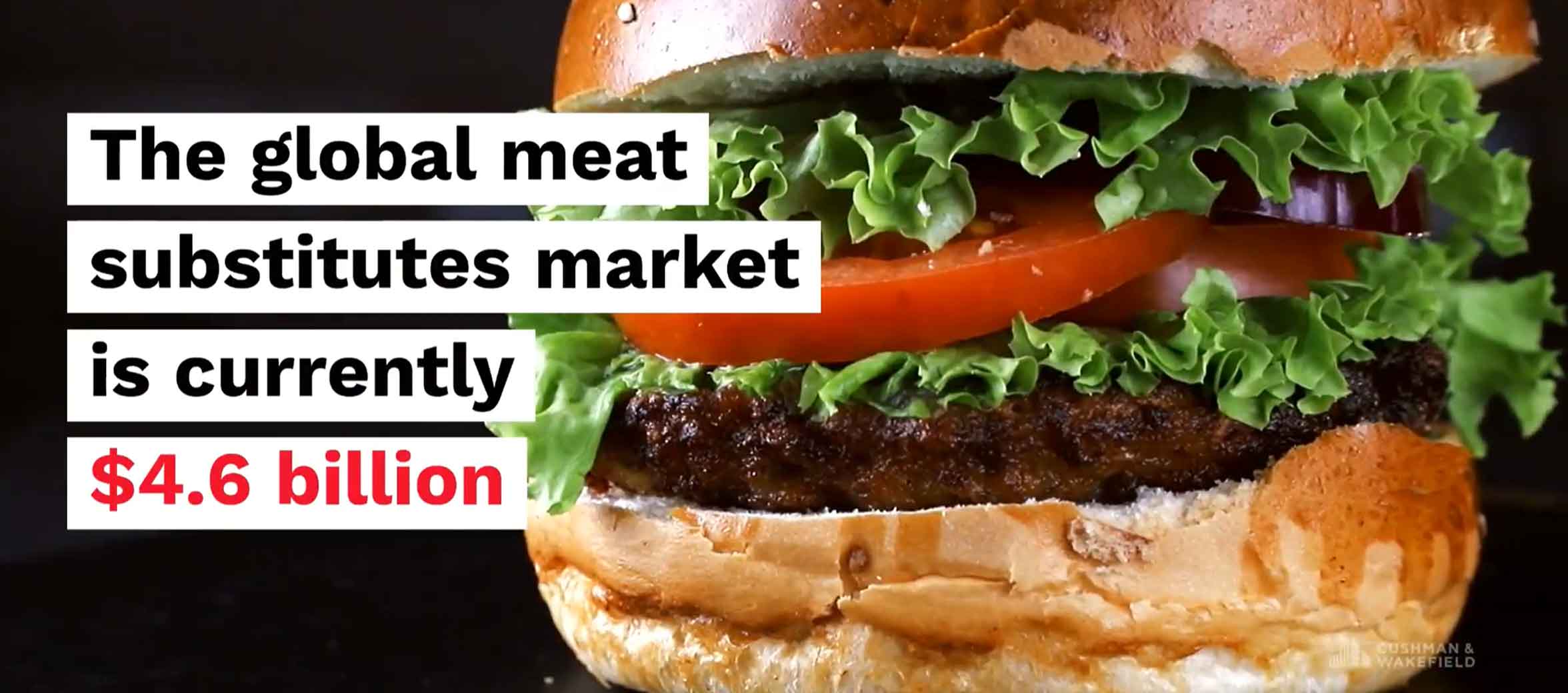 Meatless meat (imagE)