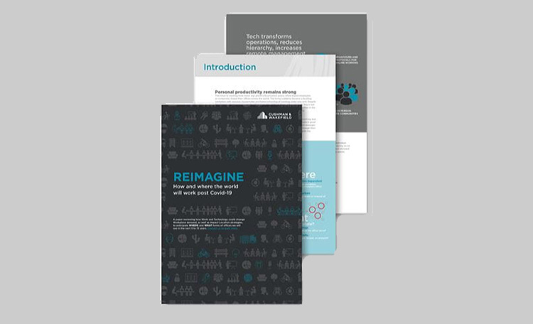 Reimagine Report (image)