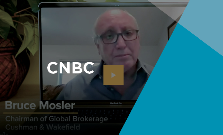 bruce cnbc (image)