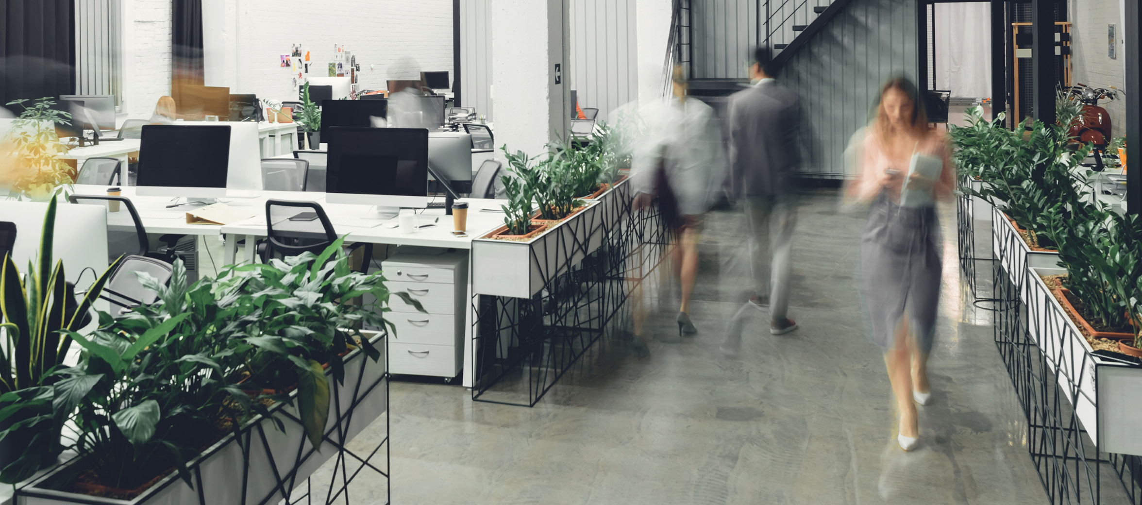 Office and Business Services
