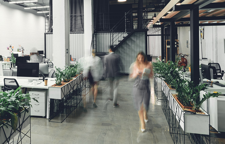 Office and Business Services