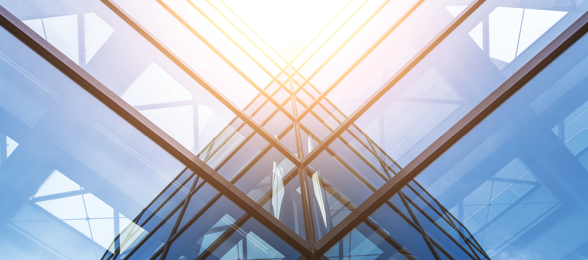 Investor Services