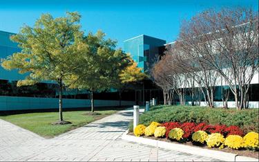 Clifton - Office