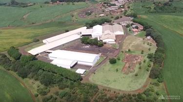 Andira - Warehouse/Distribution