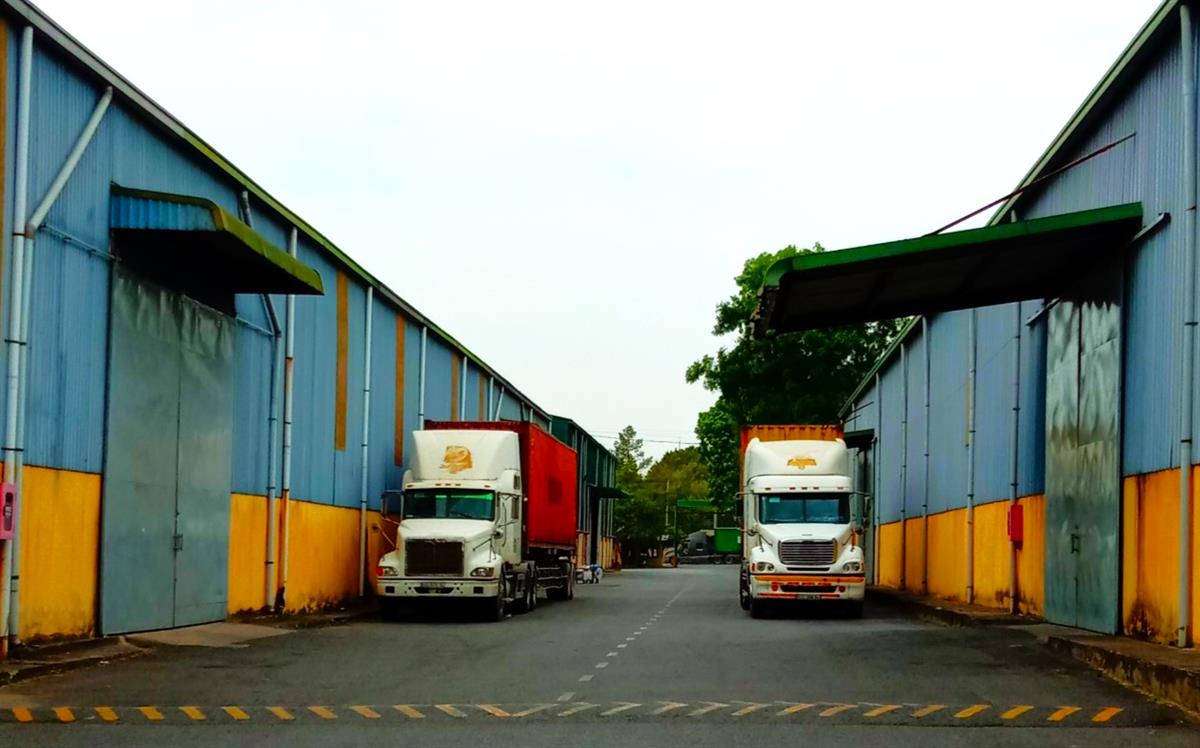 Ready-built Warehouse for Lease in Bien Hoa, Dong Nai Province, Vietnam