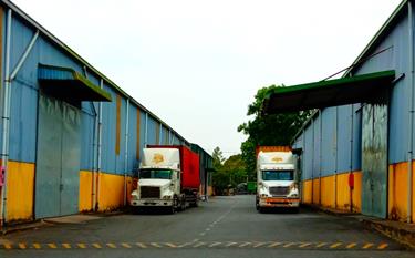 Ready-built Warehouse for Lease in Bien Hoa, Dong Nai Province, Vietnam