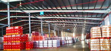 Ready-built Warehouse for Lease in Di An, Binh Duong Province, Vietnam