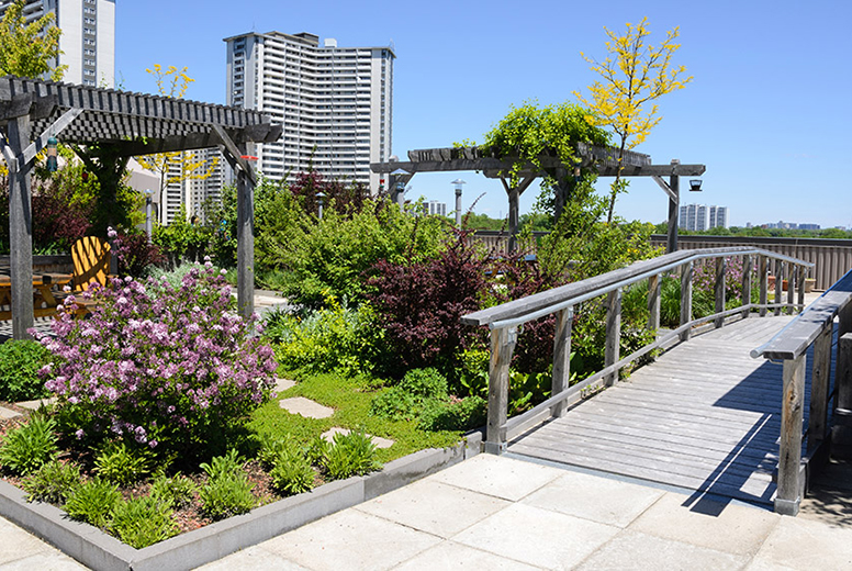 Diamond Park Plaza
