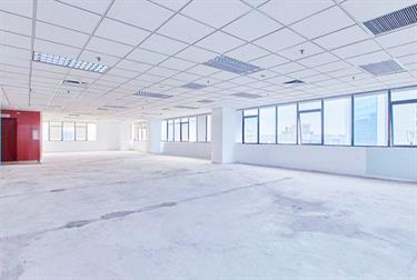 CEO Tower Pham Hung