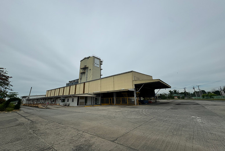 Agro-Industrial Property in Pangasinan