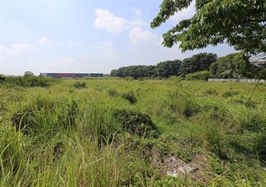 Industrial Land For Sale at Bekasi Fajar