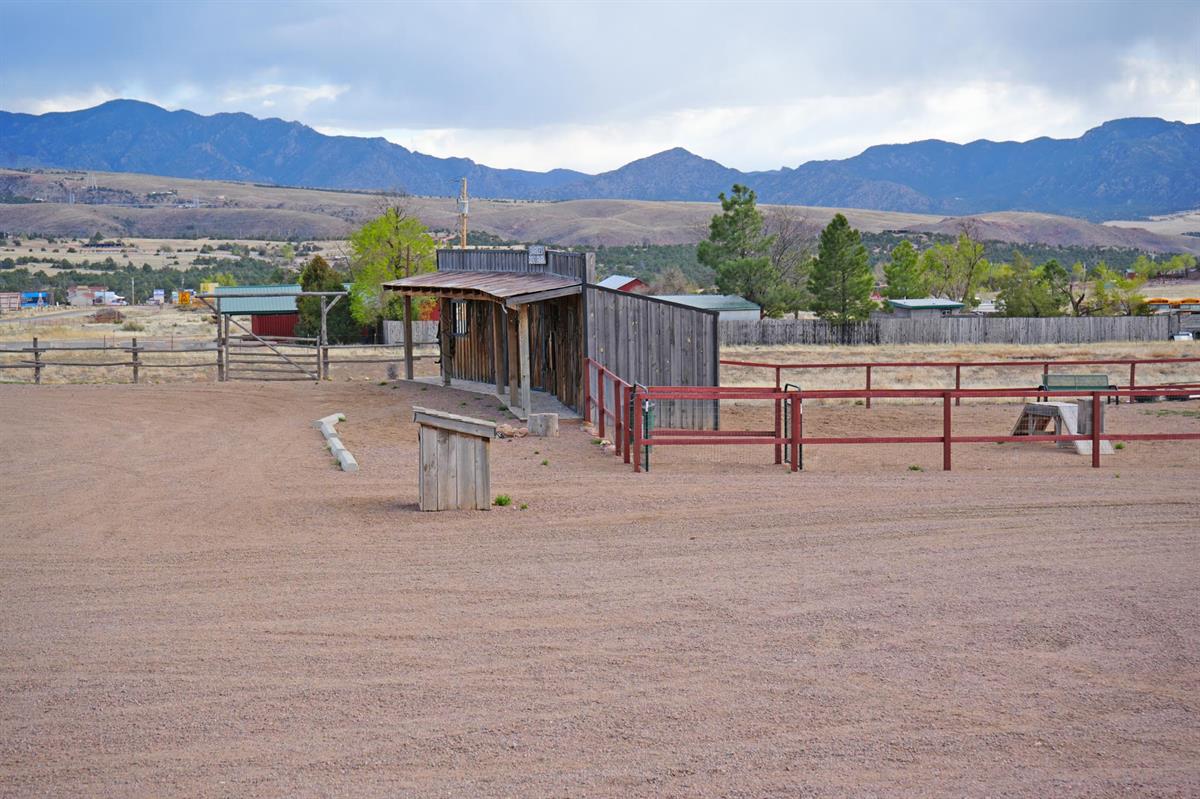 Dog park