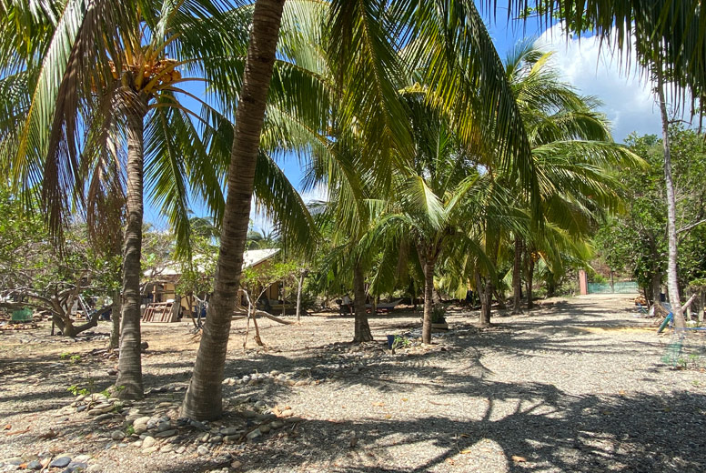 Beachfront Property in Puerto Princesa Palawan