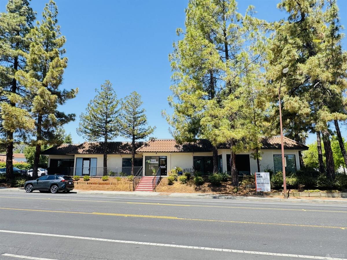 Los Gatos - Office