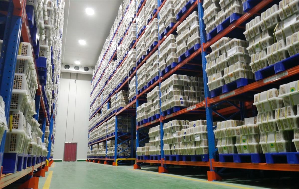 SP Logistics Hub Pluit