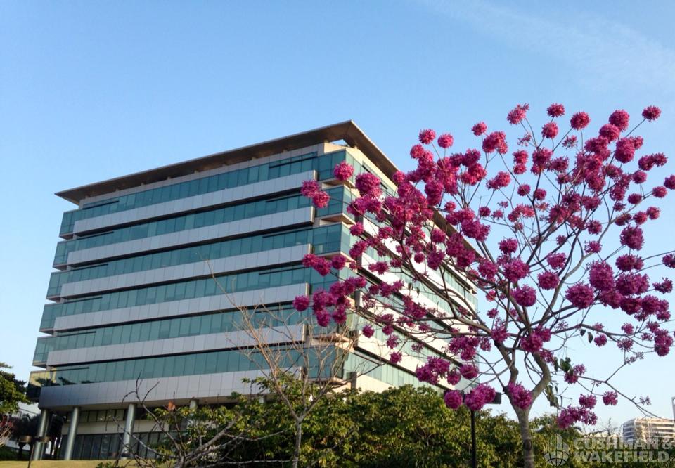 Rio de Janeiro - Office