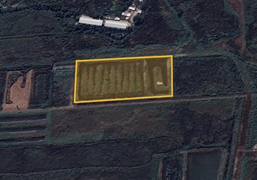 Land 8 Rai (12,800 sqm.) for Sale on Bangna-Trad Road Km.27, Samut Prakan