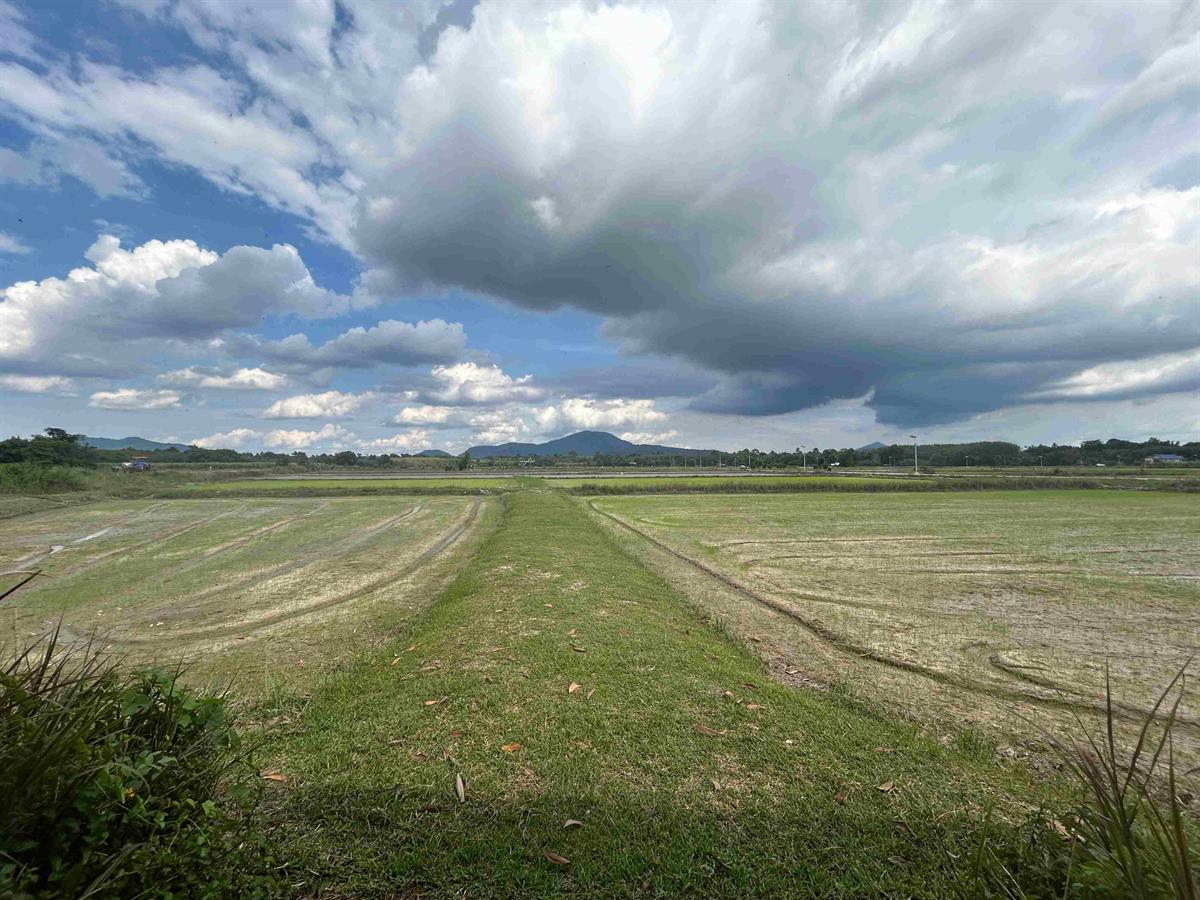 Industrial Land for Sale 36 Rai at Siracha Purple Zone