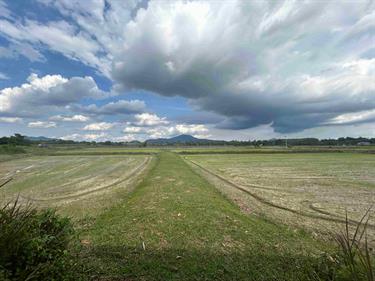 Industrial Land for Sale 36 Rai at Siracha Purple Zone