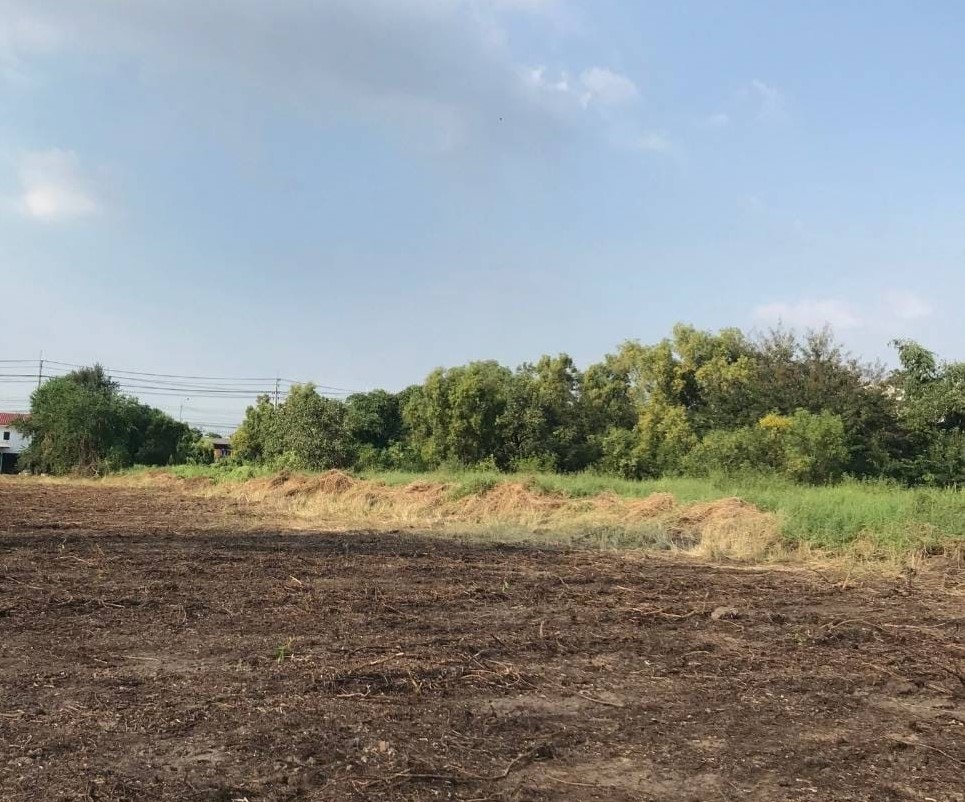 Land #1