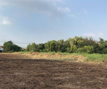 Land #1