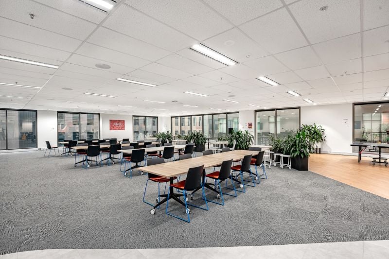 505 Little Collins Street